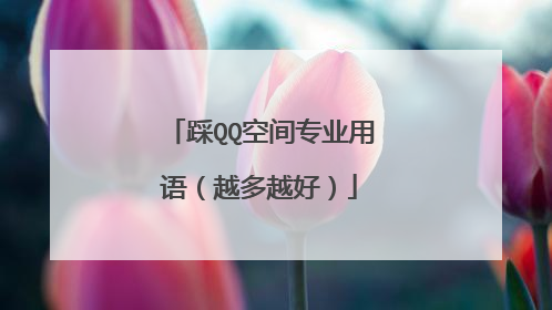 踩QQ空间专业用语(越多越好)