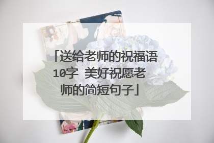 送给老师的祝福语10字 美好祝愿老师的简短句子