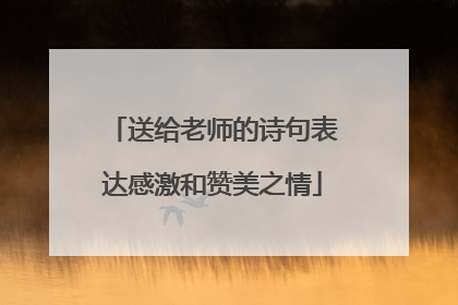 送给老师的诗句表达感激和赞美之情
