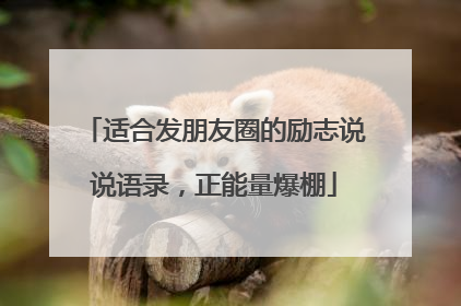 适合发朋友圈的励志说说语录，正能量爆棚