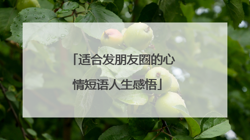 适合发朋友圈的心情短语人生感悟