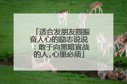 适合发朋友圈振奋人心的励志说说:敢于向黑暗宣战的人,心里必须