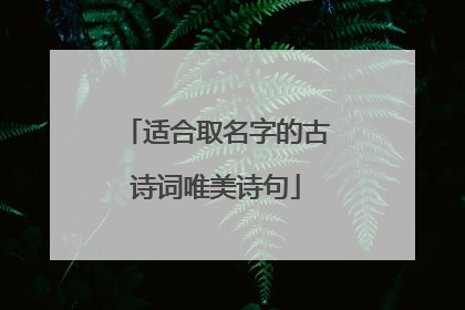 适合取名字的古诗词唯美诗句