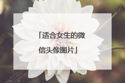 适合女生的微信头像图片