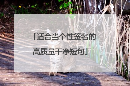 适合当个性签名的高质量干净短句