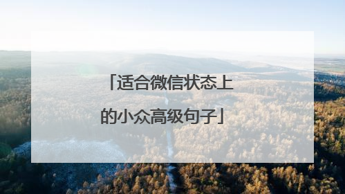 适合微信状态上的小众高级句子
