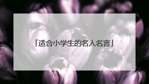 适合小学生的名人名言