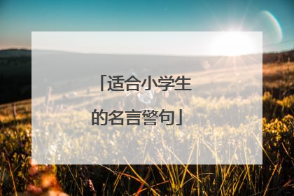 适合小学生的名言警句