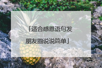 适合感恩语句发朋友圈说说简单