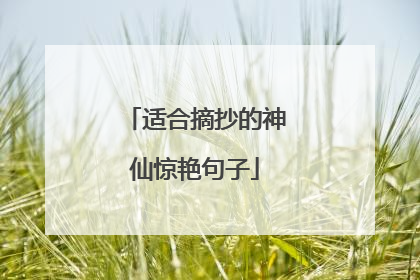 适合摘抄的神仙惊艳句子
