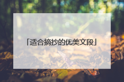 适合摘抄的优美文段