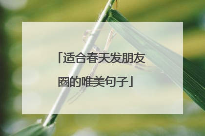 适合春天发朋友圈的唯美句子