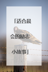 适合晨会的励志小故事