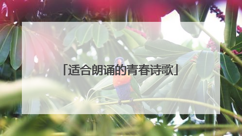 适合朗诵的青春诗歌