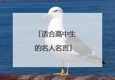 适合高中生的名人名言