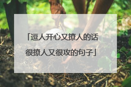 逗人开心又撩人的话 很撩人又很攻的句子