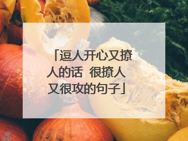 逗人开心又撩人的话 很撩人又很攻的句子
