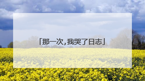 那一次,我哭了日志