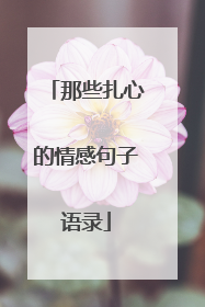 那些扎心的情感句子语录