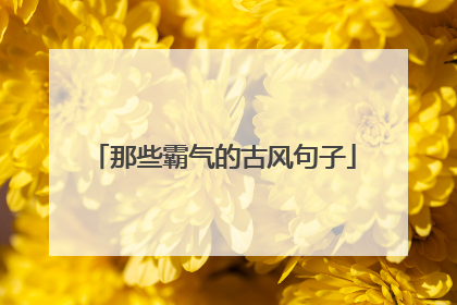 那些霸气的古风句子