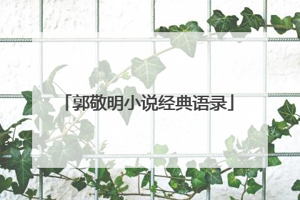 郭敬明小说经典语录