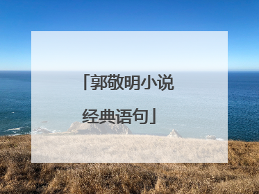郭敬明小说经典语句