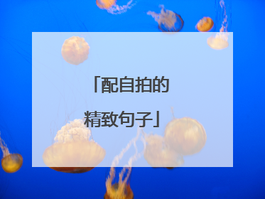 配自拍的精致句子