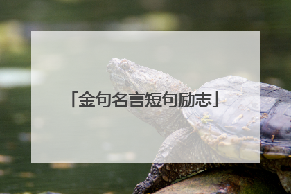 金句名言短句励志