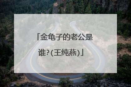 金龟子的老公是谁?(王纯燕)
