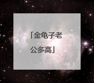 金龟子老公多高