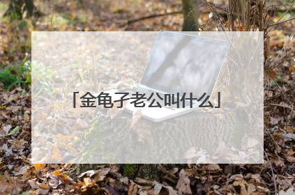 金龟孑老公叫什么