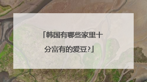 韩国有哪些家里十分富有的爱豆?