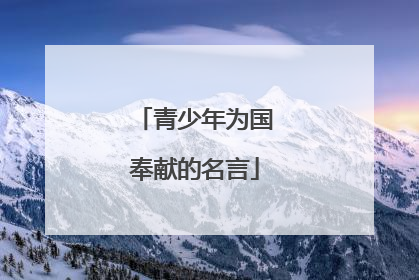 青少年为国奉献的名言