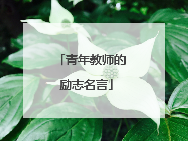 青年教师的励志名言