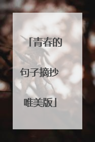 青春的句子摘抄唯美版