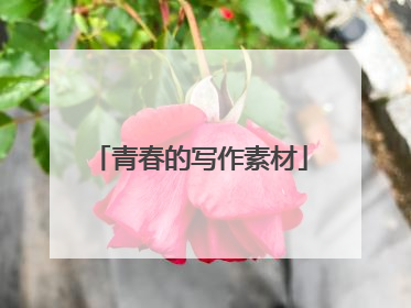 青春的写作素材
