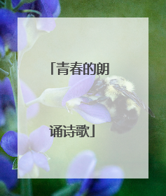 青春的朗诵诗歌