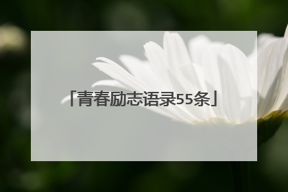 青春励志语录55条