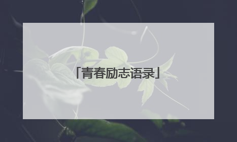 青春励志语录
