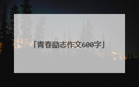 青春励志作文600字