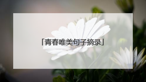 青春唯美句子摘录