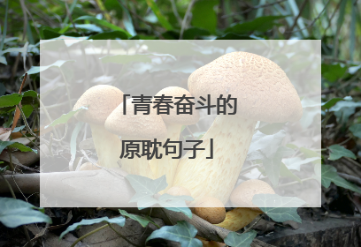 青春奋斗的原耽句子