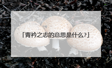 青衿之志的意思是什么?