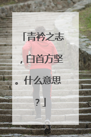 青衿之志,白首方坚。什么意思?