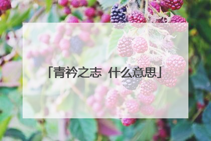 青衿之志 什么意思