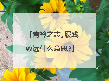 青衿之志,履践致远什么意思?