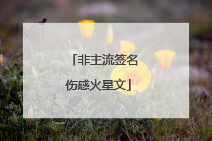 非主流签名伤感火星文