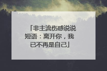 非主流伤感说说短语:离开你,我已不再是自己