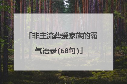 非主流葬爱家族的霸气语录(60句)