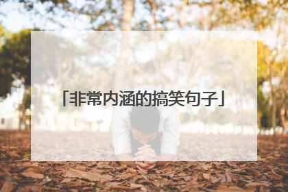 非常内涵的搞笑句子